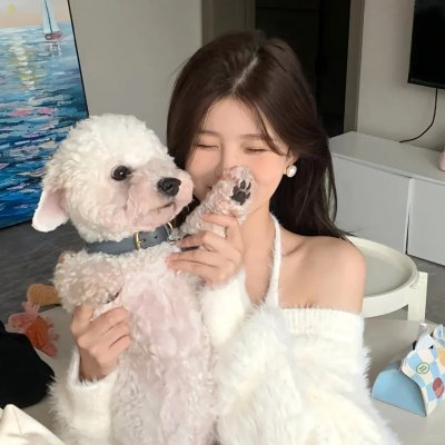 安吉里卡奇遇